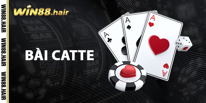 Bài Catte
