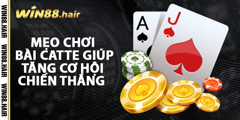 Mẹo Chơi Bài Catte Giúp Tăng Cơ Hội Chiến Thắng